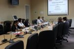 IMG 0710 copy