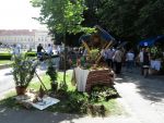 IMG 1911m