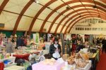 IMG 8142 copy